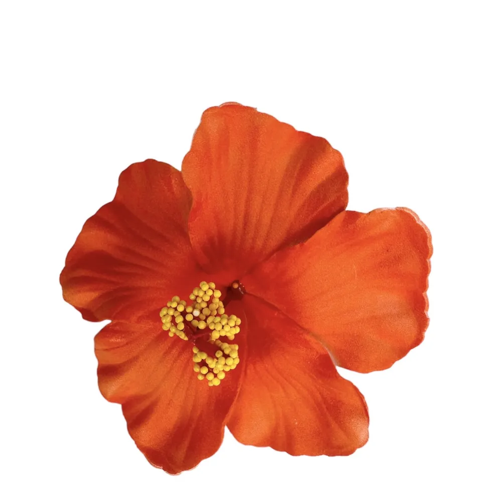 Outlet Ratatam Barrette Fleur Vahiné – Orange