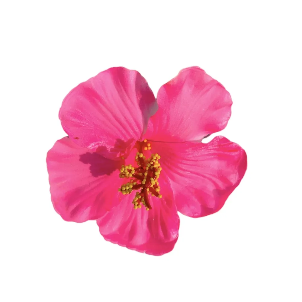 Sale Ratatam Barrette Fleur Vahiné – Rose